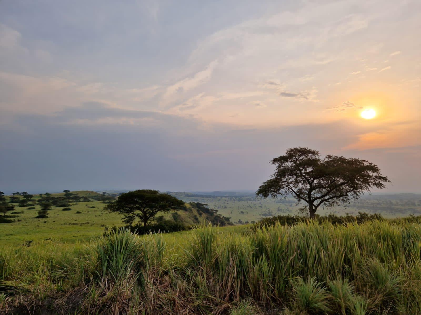 Kazinga Channel Boat Cruise