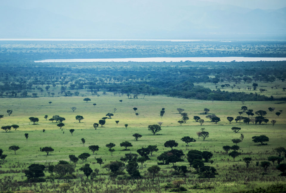 2-Day Queen Elizabeth Safari