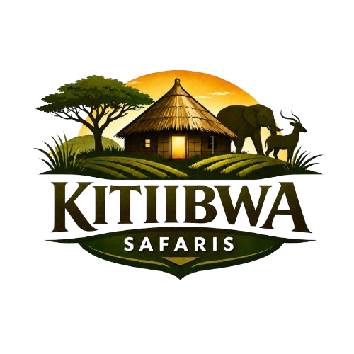 Kitiibwa Safaris